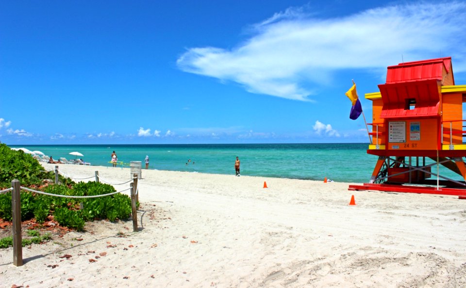 Body Of Water Beach Sea Sky