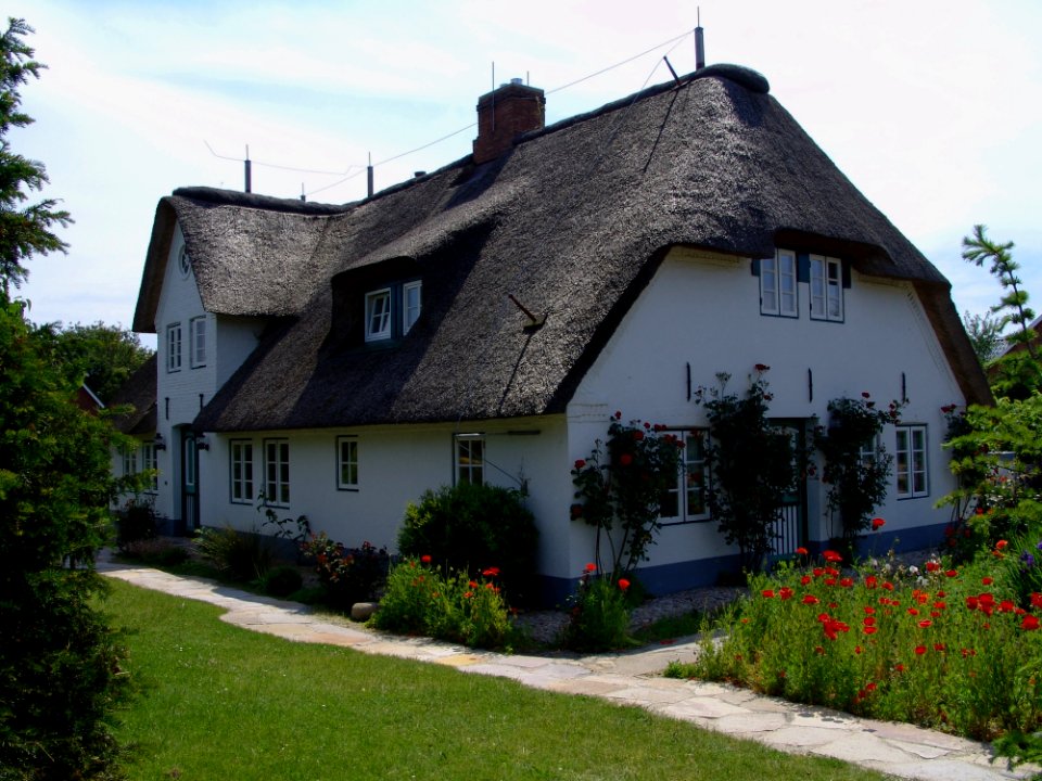 House Property Cottage Thatching