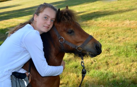 Horse Bridle Halter Mane