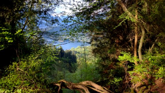 Vegetation Nature Nature Reserve Ecosystem photo