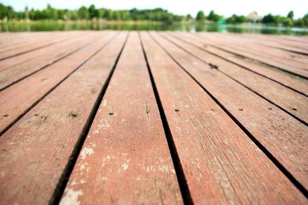 Wood Path Track Line photo