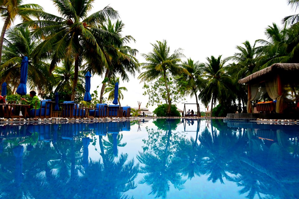 Resort Water Swimming Pool Reflection photo