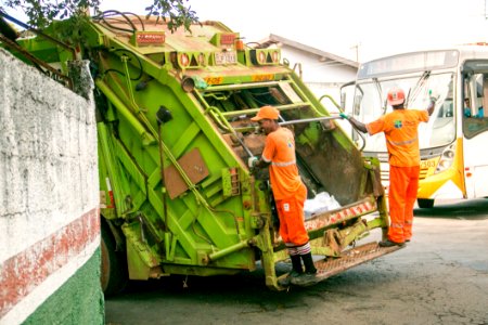 Vehicle Transport Motor Vehicle Tree photo