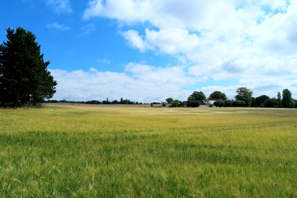 Grassland Sky Field Prairie