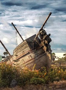 Sky Shipwreck Vehicle Tree