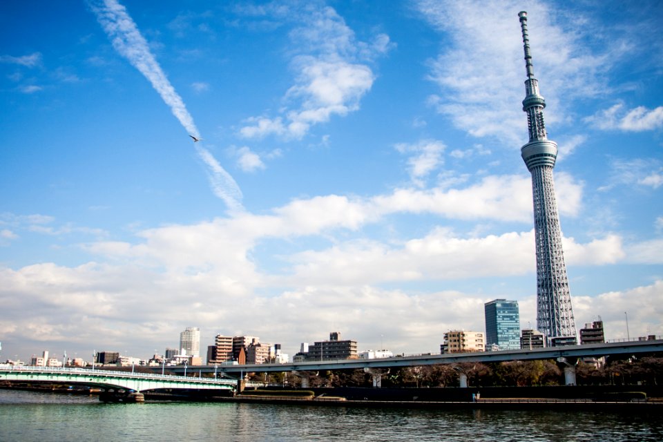 Metropolitan Area Sky Landmark Skyscraper