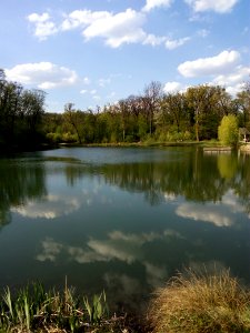 Reflection Water Nature Pond