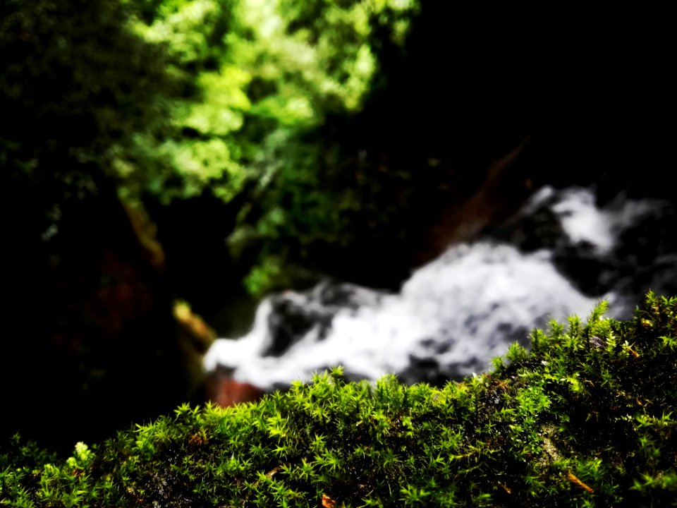Vegetation Nature Body Of Water Nature Reserve