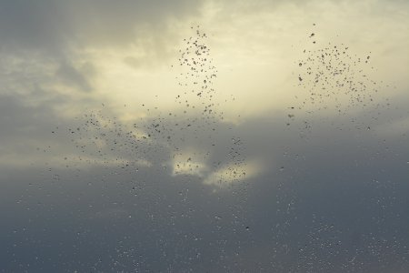 Sky Flock Atmosphere Water