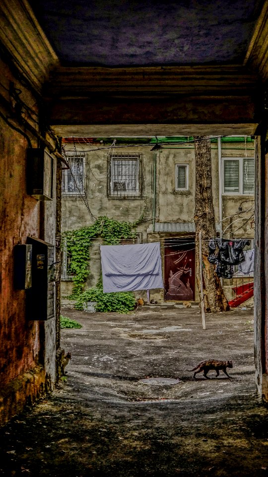Wall House Urban Area Window