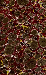 Pattern Organism Circle Material