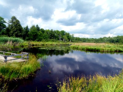 Reflection Wetland Nature Reserve Waterway photo