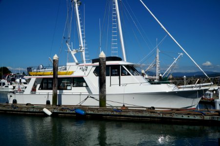 Marina Boat Water Transportation Yacht