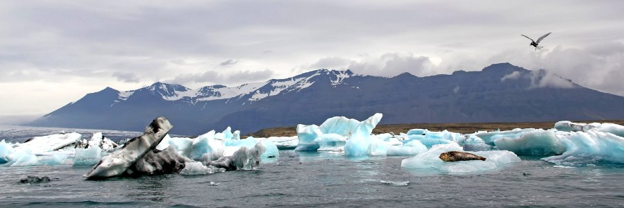 Iceberg Sea Ice Arctic Ocean Arctic photo