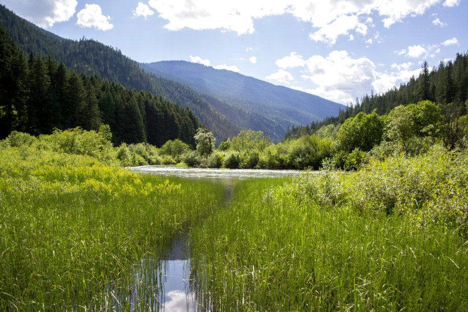 Nature Wilderness Nature Reserve Ecosystem photo