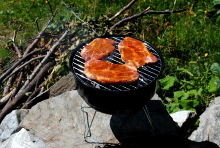 Grilling Barbecue Outdoor Grill Barbecue Grill
