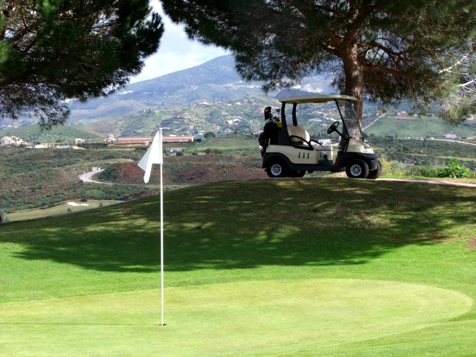 Grass Golf Golf Course Lawn