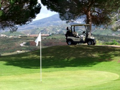 Grass Golf Golf Course Lawn