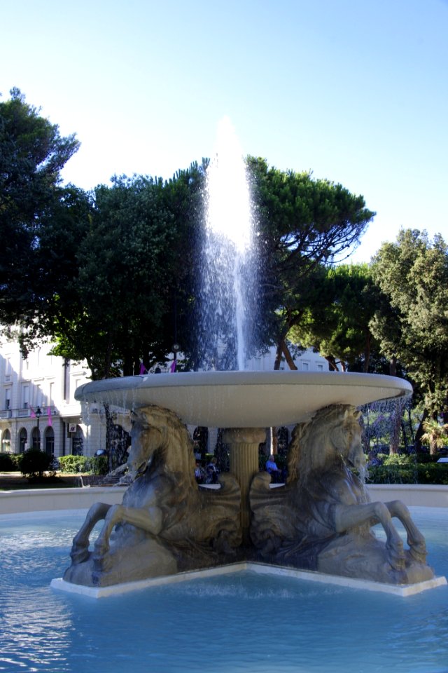 Water Fountain Water Feature Tree