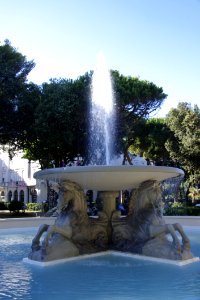 Water Fountain Water Feature Tree