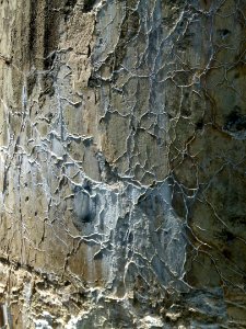 Rock Bedrock Geology Wall photo