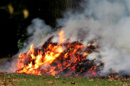 Wildfire Geological Phenomenon Fire Smoke