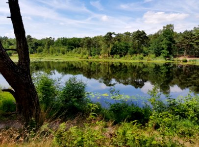 Nature Nature Reserve Reflection Water