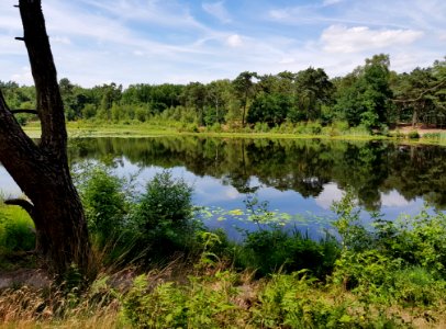 Nature Nature Reserve Reflection Water photo