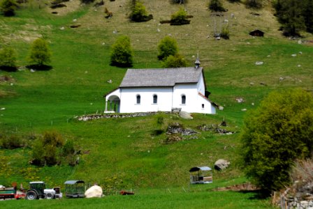 Pasture Highland Grassland Cottage