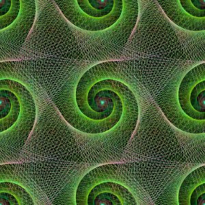 Green Pattern Organism Circle photo