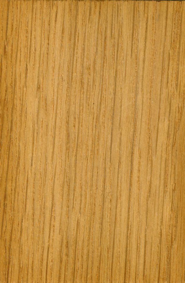 Wood Wood Stain Flooring Plywood