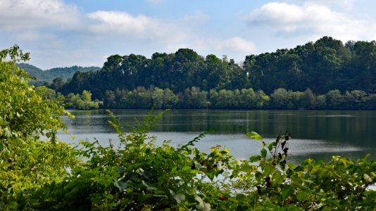 Nature Vegetation Nature Reserve Water