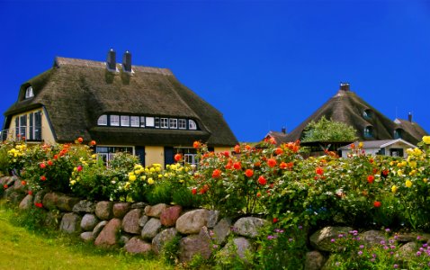 Flower Cottage Sky House