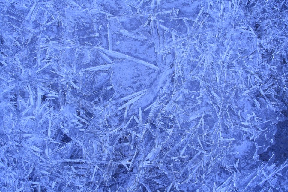 Blue Frost Winter Freezing