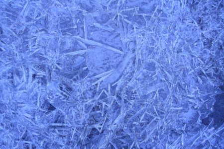 Blue Frost Winter Freezing photo