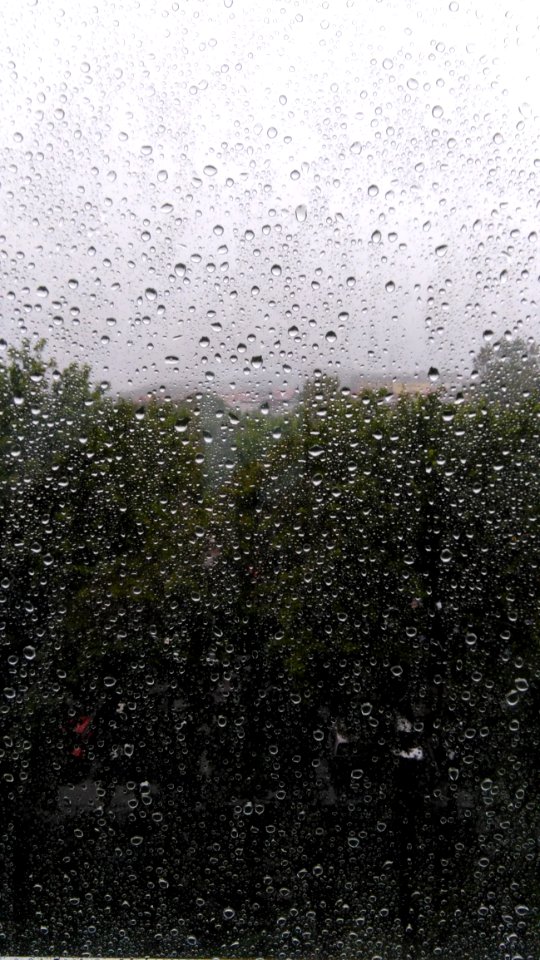 Water Rain Reflection Drizzle