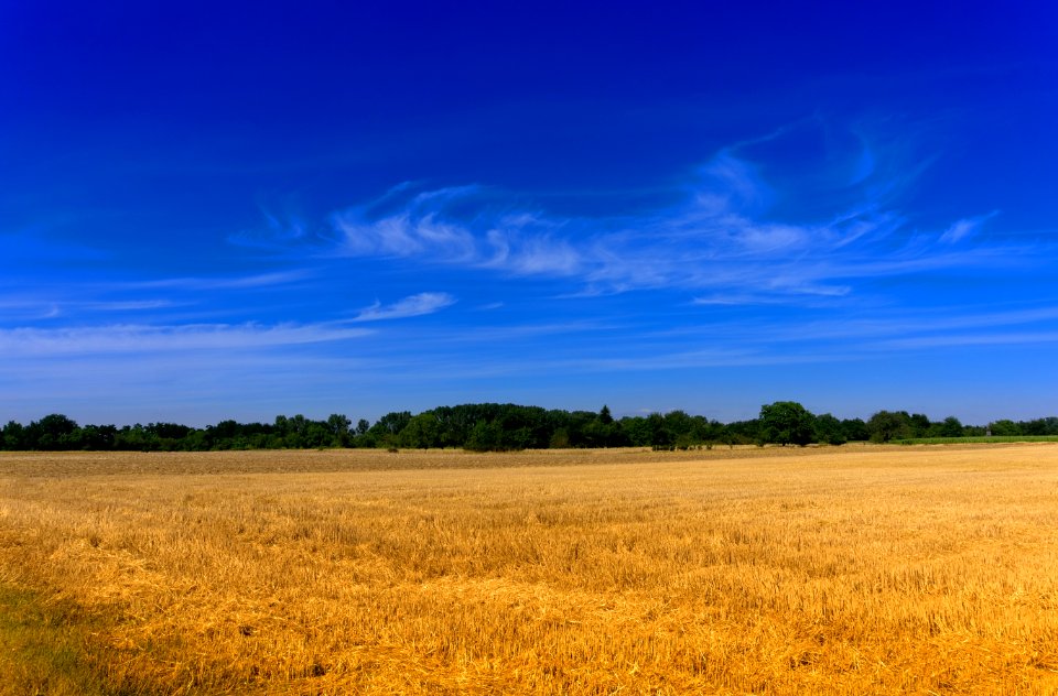 Sky Grassland Field Prairie