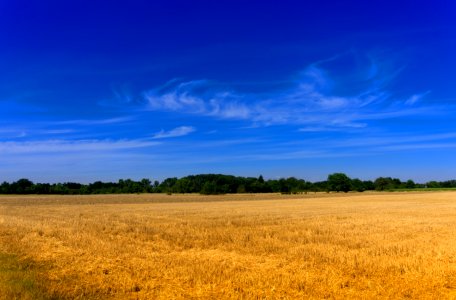 Sky Grassland Field Prairie