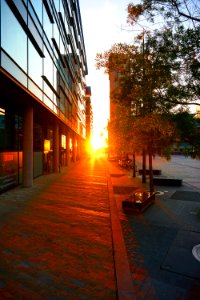 Sky Evening Light Architecture photo