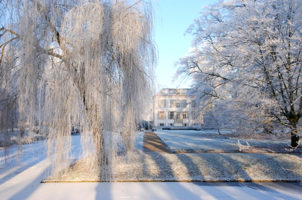 Winter Frost Freezing Snow
