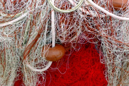 Fishing Net Thread Branch