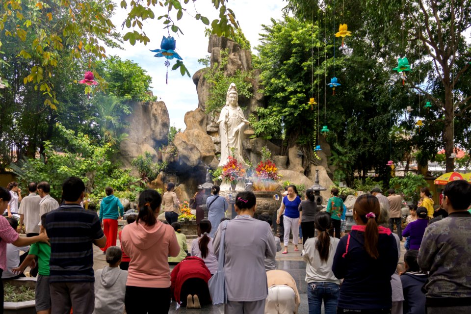 Crowd Town Tree Tourism