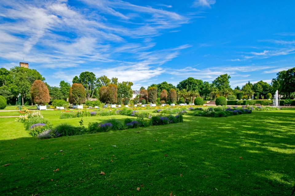 Sky Nature Garden Vegetation