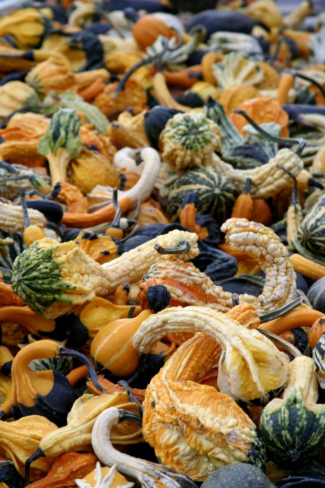 Vegetable Food Produce Gourd