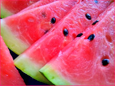 Watermelon Melon Fruit Cucumber Gourd And Melon Family photo