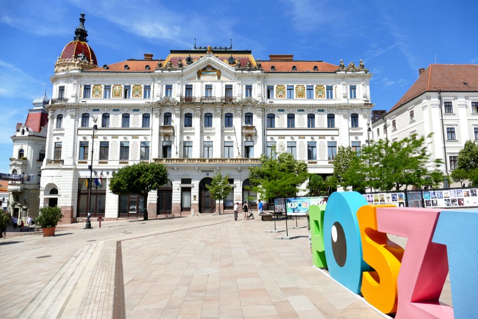 Town Property Plaza City
