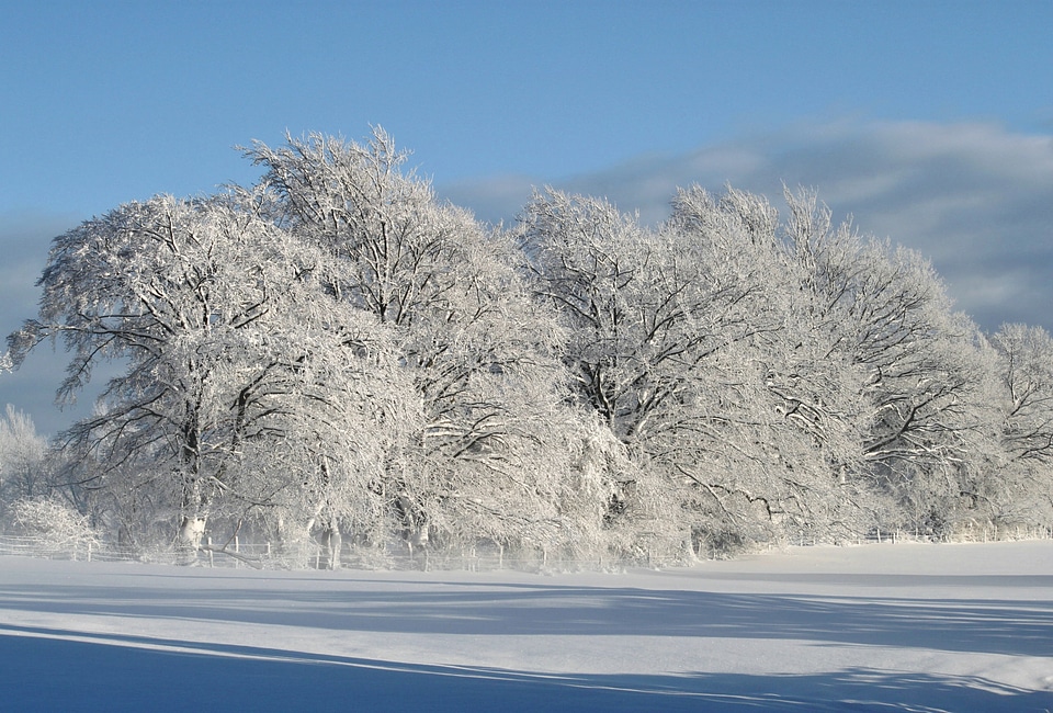 Winter magic cold sun