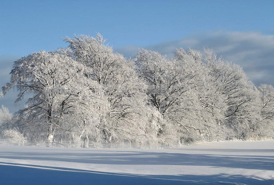 Winter magic cold sun photo