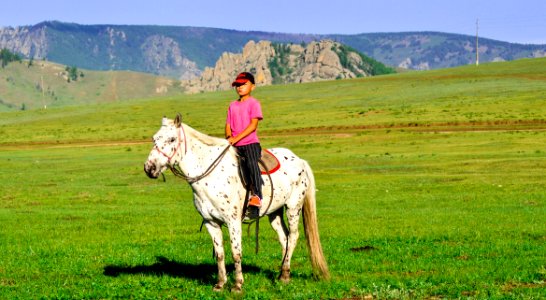 Grassland Ecosystem Trail Riding Pasture