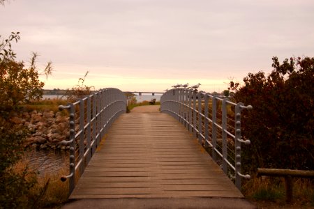 Sky Walkway Boardwalk Morning